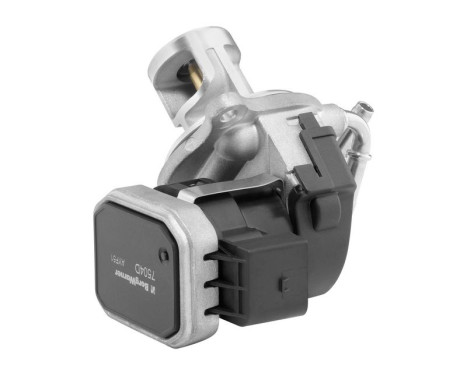 EGR valve 7504D Wahler, Image 3