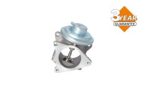 EGR Valve EASY FIT