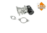 EGR Valve EASY FIT