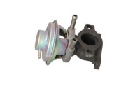 EGR Valve EASY FIT