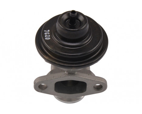 EGR Valve EEG-1017 Kavo parts