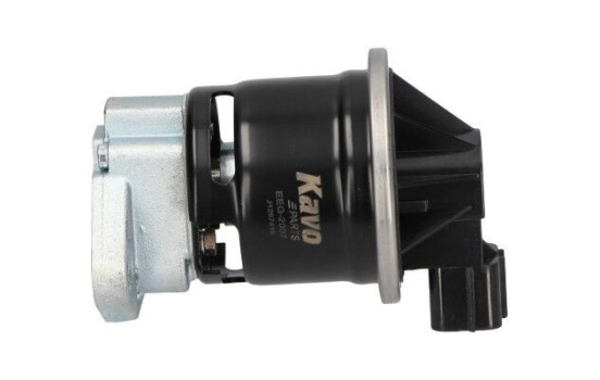EGR Valve EEG-2007 Kavo parts