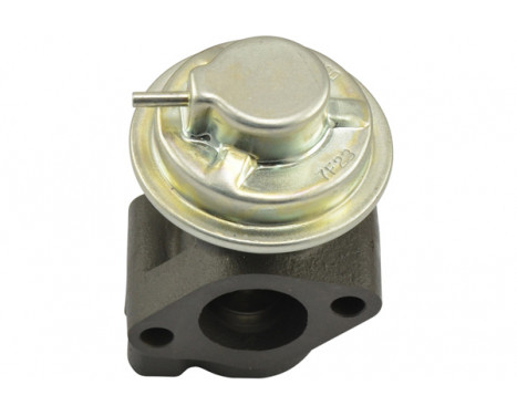 EGR Valve EEG-3011 Kavo parts