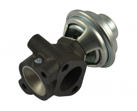 EGR Valve EEG-3019 Kavo parts