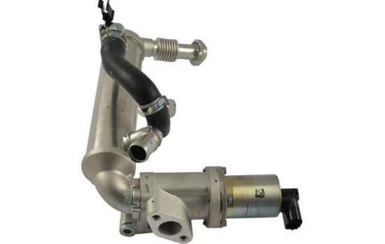 EGR Valve EEG-3031 Kavo parts