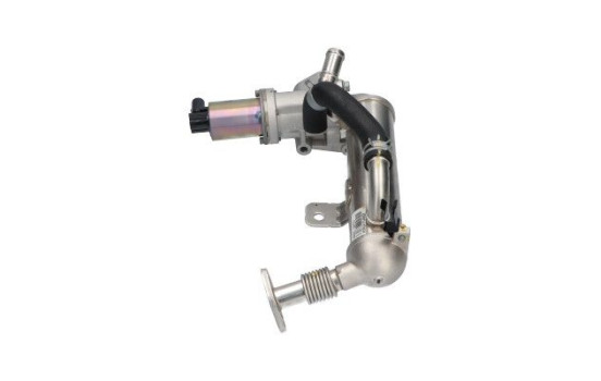 EGR Valve EEG-3031 Kavo parts, Image 4