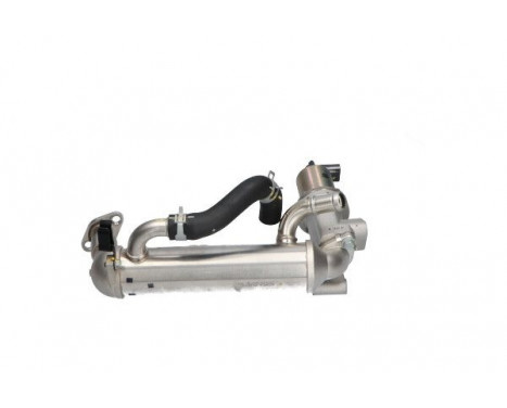 EGR Valve EEG-3031 Kavo parts, Image 5