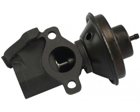 EGR Valve EEG-7503 Kavo parts