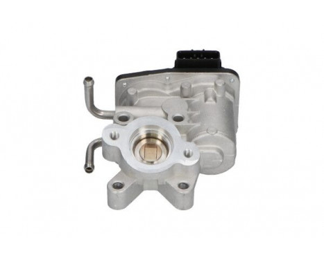EGR Valve EEG-8003 Kavo parts
