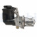 EGR Valve EG10468-12B1 Delphi, Thumbnail 5