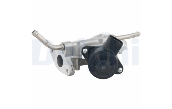 EGR valve EG10738-12B1 Delphi