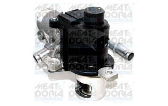 EGR valve, exhaust gas control