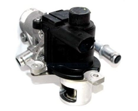 EGR valve, exhaust gas control