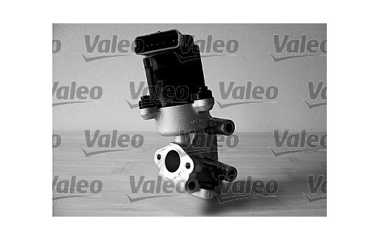 EGR Valve ORIGINAL PART 700410 Valeo