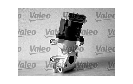 EGR Valve ORIGINAL PART 700411 Valeo