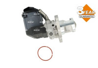 EGR valve