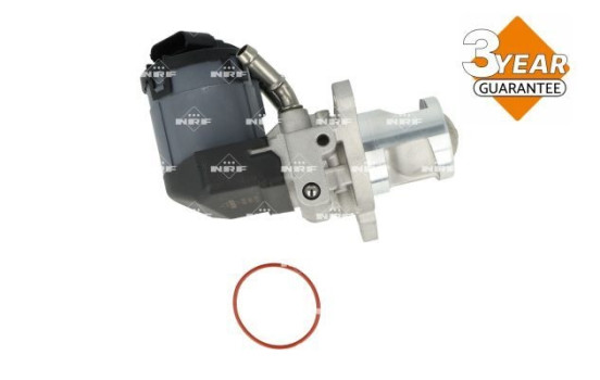 EGR valve