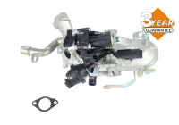 EGR valve
