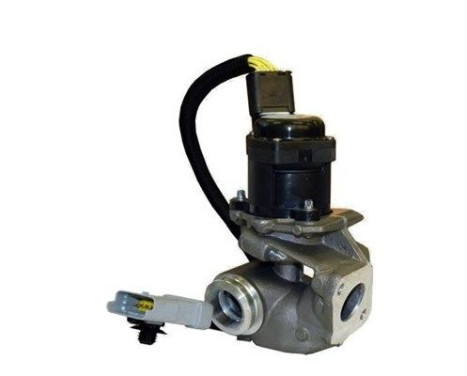 EGR Valve