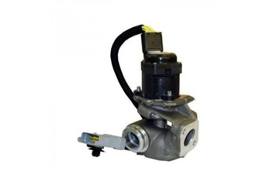 EGR Valve