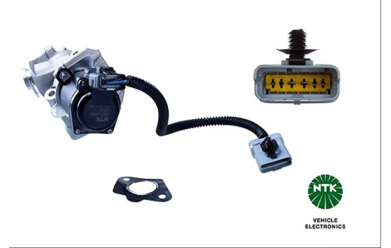 EGR Valve