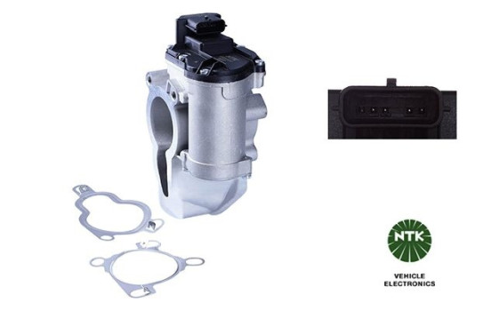 EGR Valve
