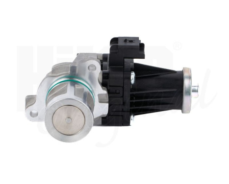 EGR valve