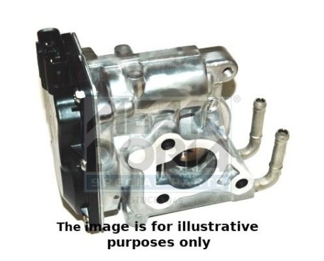 EGR Valve
