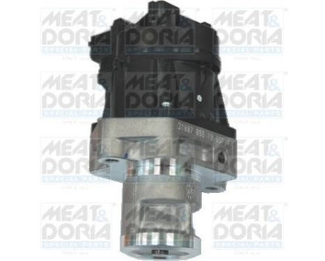 EGR Valve