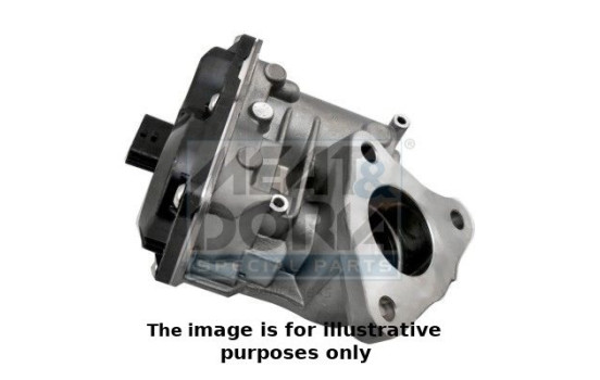 EGR Valve