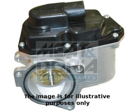 EGR Valve