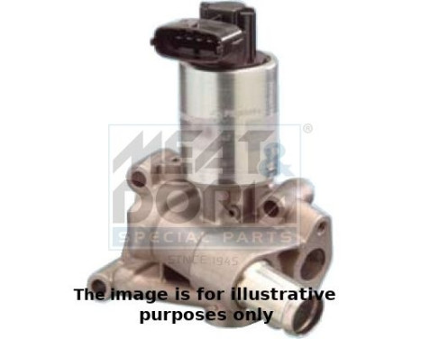 EGR Valve