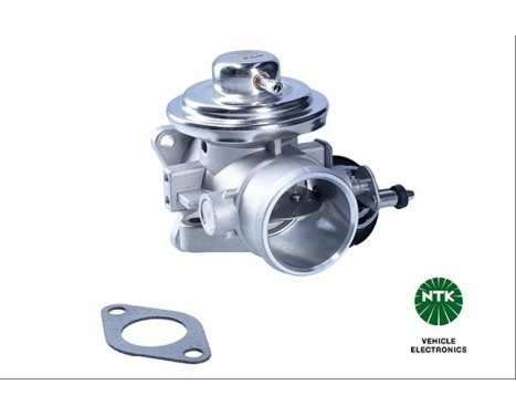 EGR valve