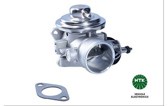 EGR valve