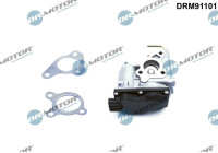 EGR valve