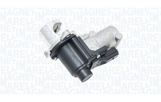 EGR valve