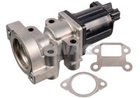 EGR valve