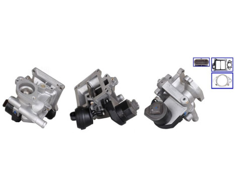 EGR Valve