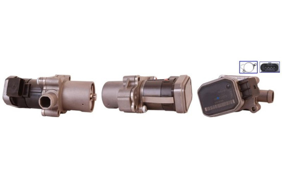 EGR Valve