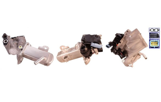EGR Valve