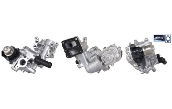 EGR Valve