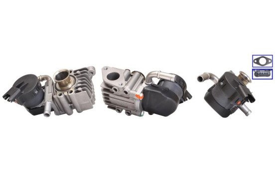 EGR Valve