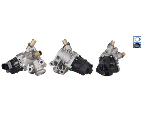EGR valve