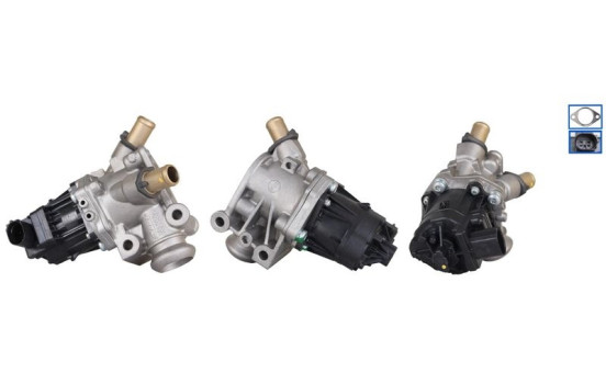 EGR valve