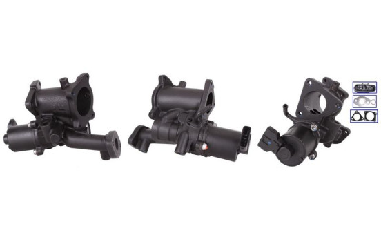 EGR Valve
