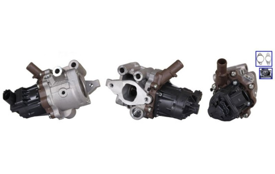 EGR Valve