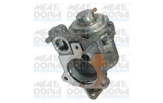 EGR valve