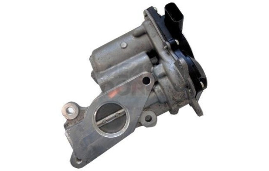 EGR valve