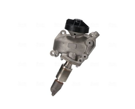 EGR valve