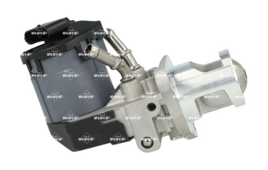 EGR valve